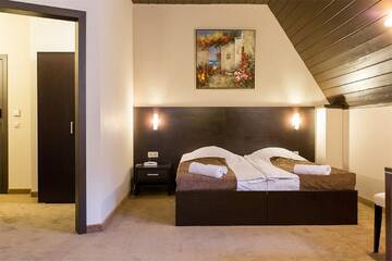 Фото номера Супериор Гостиница Hotel&amp;SPA Лафер Ренессанс 4 г. Сергиев Посад 9