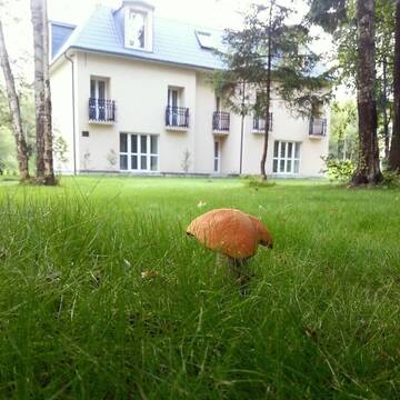 Фото номера Супериор Гостиница Hotel&amp;SPA Лафер Ренессанс 4 г. Сергиев Посад 11